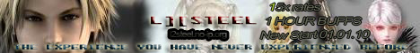 L2Steel Banner